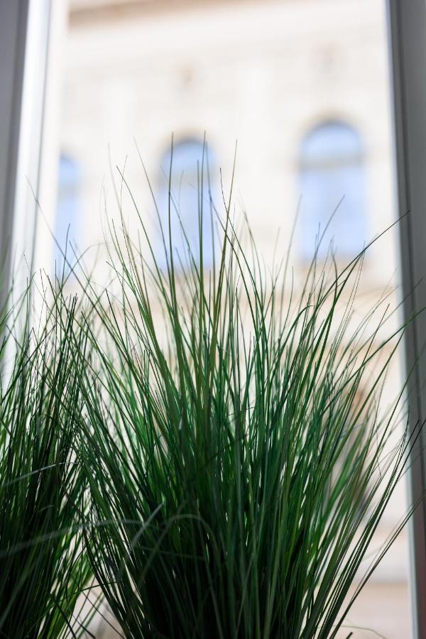 Native Apartments Studencka 25 Krakow Bagian luar foto